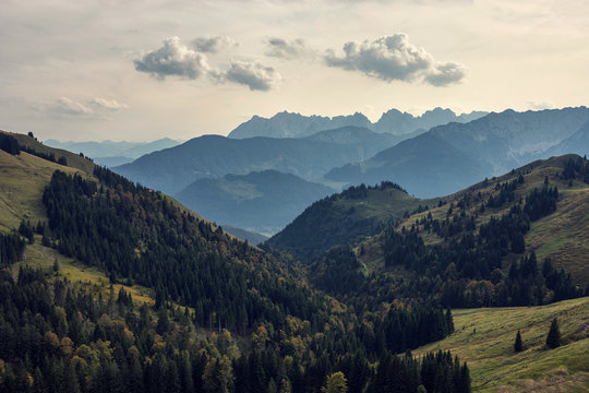 gr&uuml;ne Berge mit Nadelb&auml;ume 