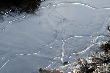 Ice on a frozen puddle in spring mud close up
