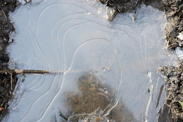 Ice on a frozen puddle in spring mud close up
