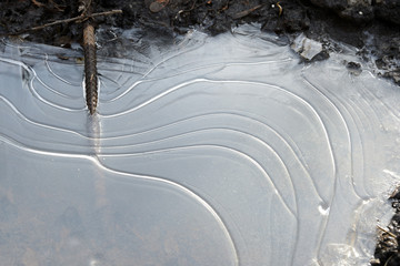 Ice on a frozen puddle in spring mud close up