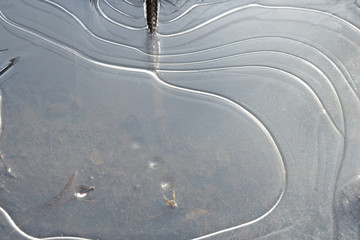 Ice on a frozen puddle in spring mud close up