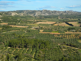 Naklejka premium Paysage provençale