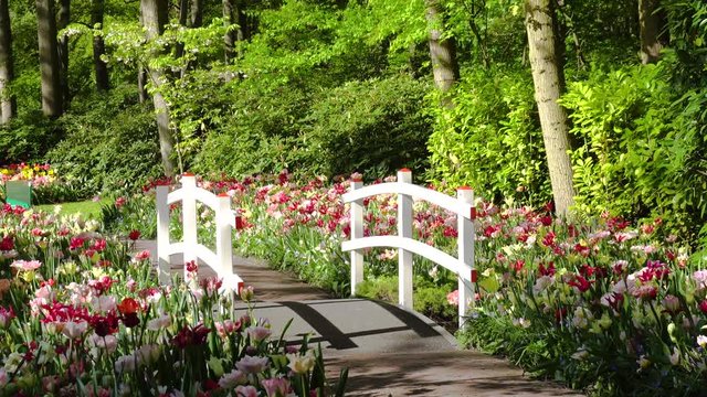 Stone walk way in garden