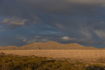 wilderness in New mexico