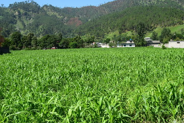 Naran kaghan pakistan