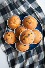 Chocolate Drops Muffins. Delicious sweet dessert. Sweetness to tea. Homemade baking. Treats for children. Popular cupcake.