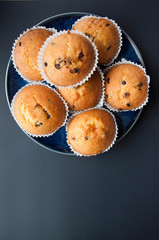 Chocolate Drops Muffins. Delicious sweet dessert. Sweetness to tea. Homemade baking. Treats for children. Popular cupcake.