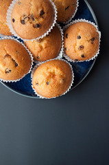 Chocolate Drops Muffins. Delicious sweet dessert. Sweetness to tea. Homemade baking. Treats for children. Popular cupcake.