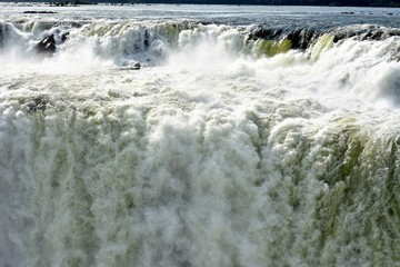 IGUAZU (naturaleza, aves, mamiferos, insectos, cascadas)