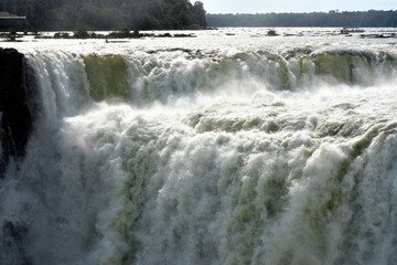 IGUAZU (naturaleza, aves, mamiferos, insectos, cascadas)