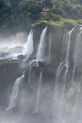 IGUAZU (naturaleza, aves, mamiferos, insectos, cascadas)