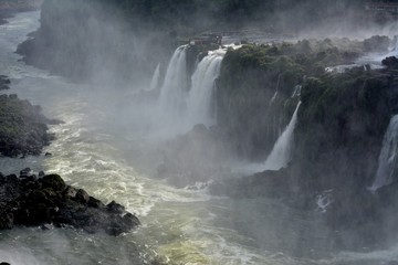 IGUAZU (naturaleza, aves, mamiferos, insectos, cascadas)