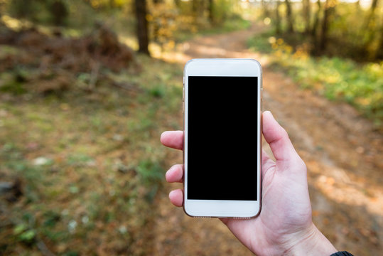 Mobile phone in hands on forest background.