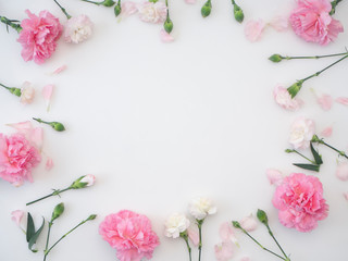 Frame made of carnation on a white background