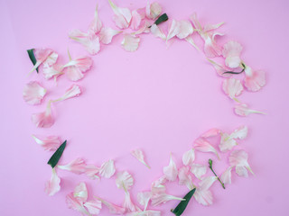 Frame made of carnation on a white background