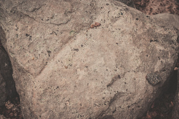 texture of stone