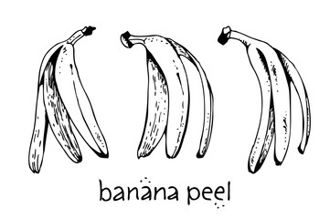 Banana peels, vector hand drawn illustration isolated on white background