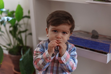 Portrait of a little boy eating a cookie while looking at the camera