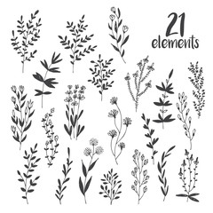 Hand drawn vector set with floral elements, herbs, leaves, flowers, twigs, branches