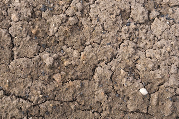 Soil.