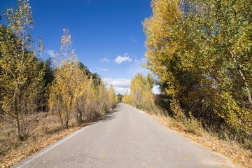 Autumn country Alcala de la Selva Teruel Aragon Spain