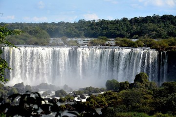 Fototapeta premium IGUAZU (naturaleza, cascadas, indectos aves)