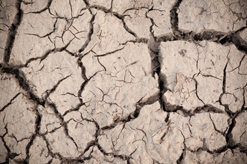 Dry Cracked Earth - Background Texture