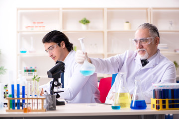 Fototapeta premium Two chemists working in the lab