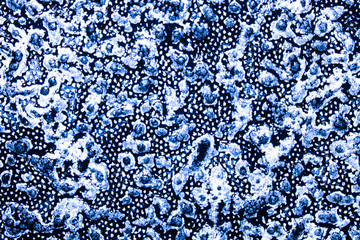 Acrylic Paint Splatters and spots for Background