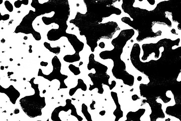 Black and White Ink Splatters and Spill 