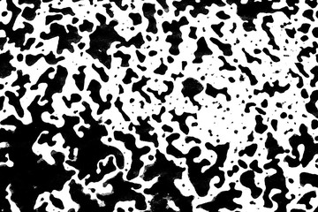 Obraz na płótnie Canvas Black and White Ink Splatters and Spill 