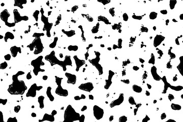 Fototapeta premium Black and White Ink Splatters and Spill 