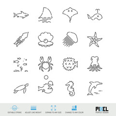 Vector Line Icon Set. Marine Life Related Linear Icons. Sea Animals Symbols, Pictograms, Signs. Pixel Perfect Design. Editable Stroke. Adjust Line Weight. Expand to Any Size. Change to Any Color. © Ivan Burchak