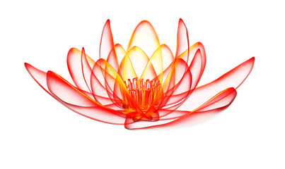 x-ray image of a flower  isolated on white, the lotus 3d illustration.