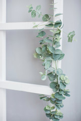 old ladder decorated with eucalyptus