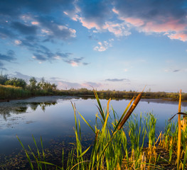 small summer lake at the evening