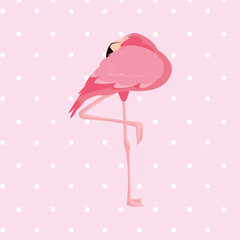 elegant flamingo bird dotted background