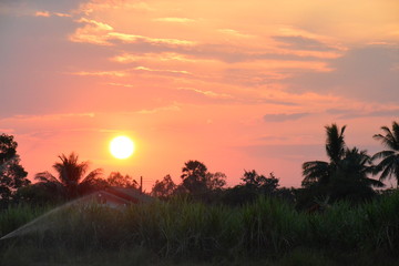 Obraz premium natural