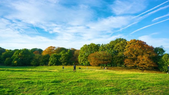 Autumn landscape at Parliament Hill in Hampstead Heath park, London, England, UK