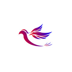 flying bird logo 3