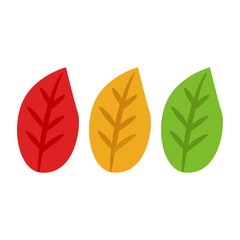Leaves. The leaf are red, yellow and green. Vector illustration. EPS 10.