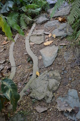 natural