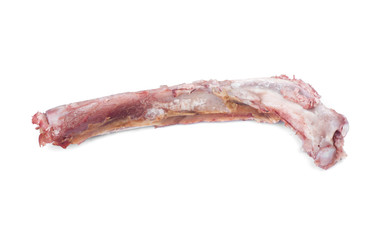 Single bone with flesh