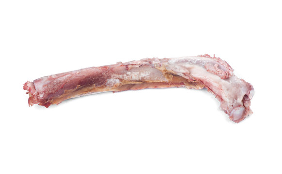 Single bone with flesh