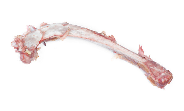 Single bone with flesh