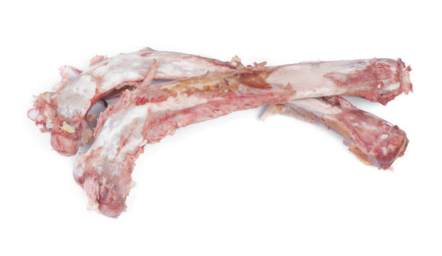 Group of bones with flesh