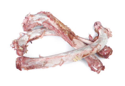 Group of bones with flesh