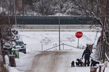 STOCKHOLM, SWEDEN Well to do neighborhood of Solsidan. Buildings, houses and restaurant. Site of popular TV show and movie called Solsidan