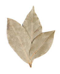 Spices bay laurel leaves