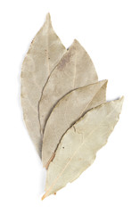 Fototapeta premium Spices bay laurel leaves